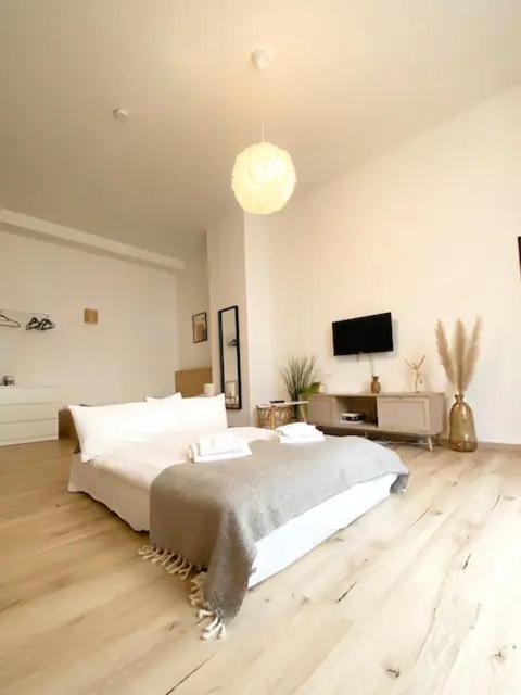 Ruhige Und Stilvolle Wohnung Am Clara-Zetkin-Park 莱比锡 外观 照片